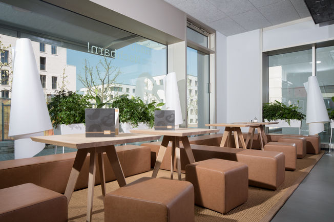 OL 90 N, Killesberg 城区 平放纤薄天窗开窗器 开门宽度 170 mm