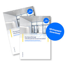 BIM white paper preview graphic