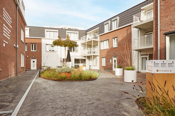 种有植物的现代内院，周围是红砖住宅楼