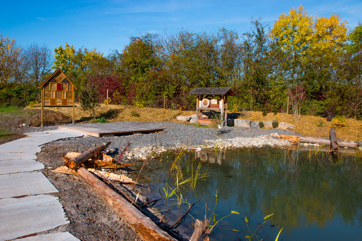 The new biotope protects insects and plant species. Photo: GEZE GmbH